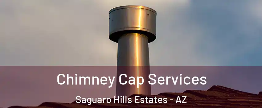 Chimney Cap Services Saguaro Hills Estates - AZ