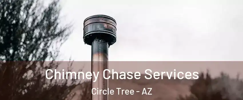 Chimney Chase Services Circle Tree - AZ