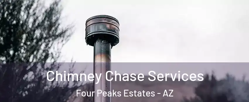 Chimney Chase Services Four Peaks Estates - AZ