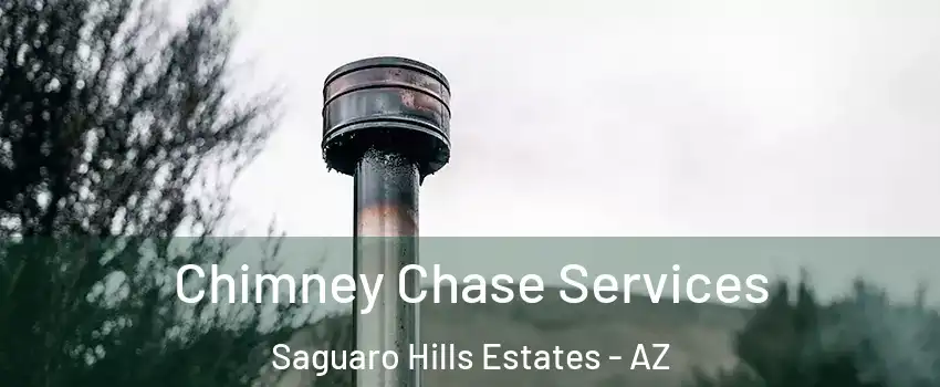 Chimney Chase Services Saguaro Hills Estates - AZ