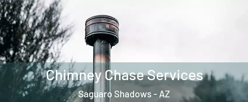 Chimney Chase Services Saguaro Shadows - AZ