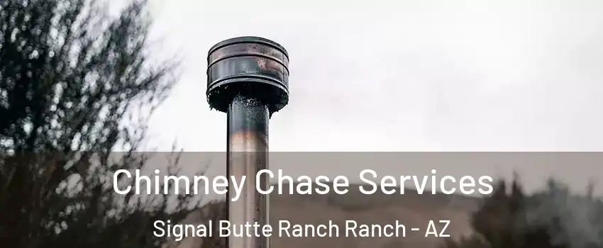 Chimney Chase Services Signal Butte Ranch Ranch - AZ