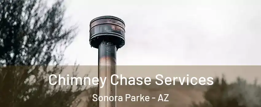 Chimney Chase Services Sonora Parke - AZ