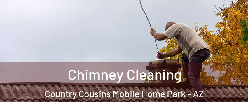 Chimney Cleaning Country Cousins Mobile Home Park - AZ