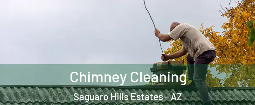 Chimney Cleaning Saguaro Hills Estates - AZ