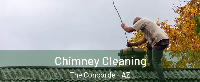 Chimney Cleaning The Concorde - AZ