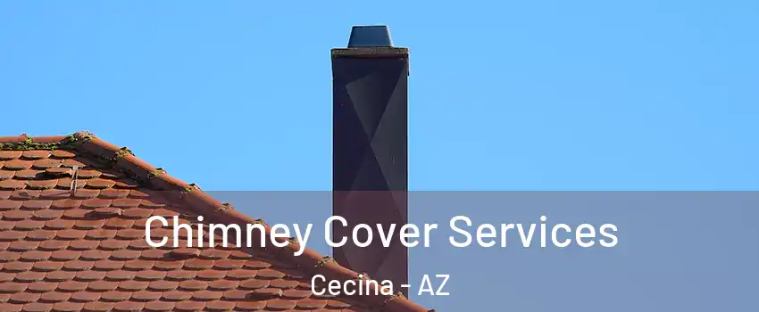 Chimney Cover Services Cecina - AZ