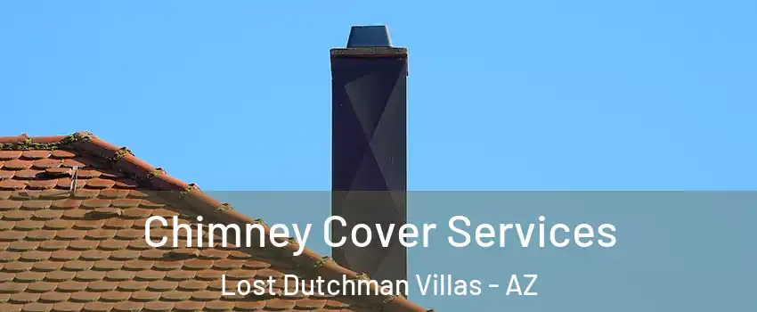 Chimney Cover Services Lost Dutchman Villas - AZ