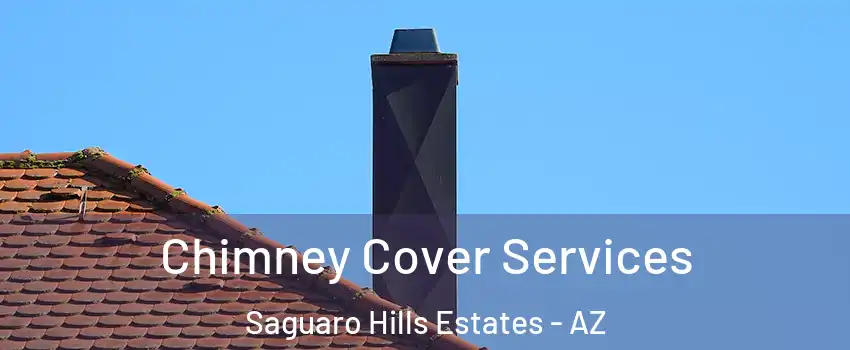 Chimney Cover Services Saguaro Hills Estates - AZ