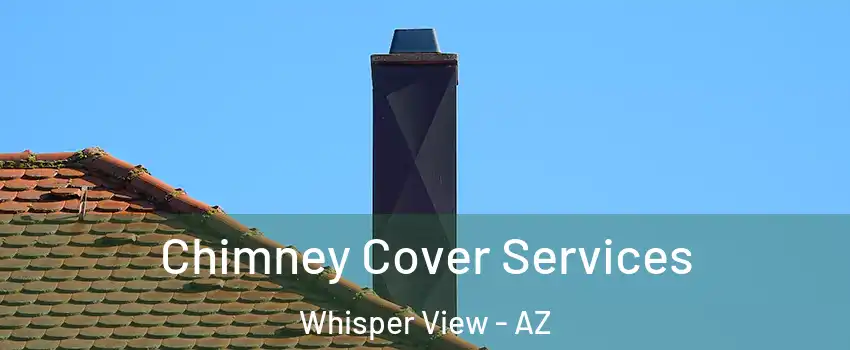 Chimney Cover Services Whisper View - AZ