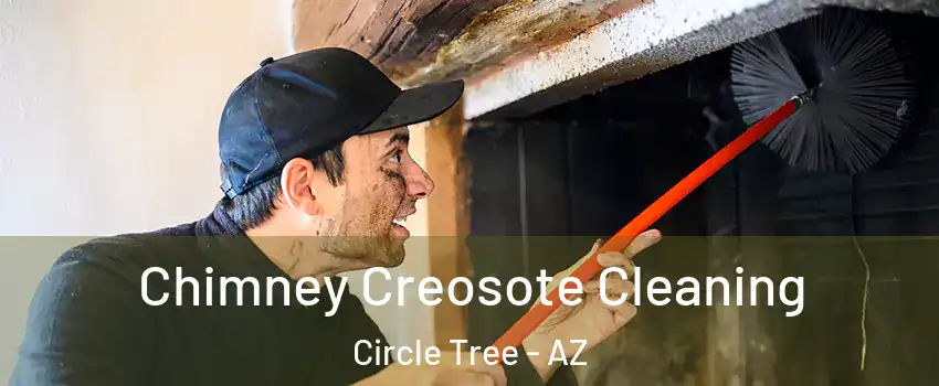 Chimney Creosote Cleaning Circle Tree - AZ