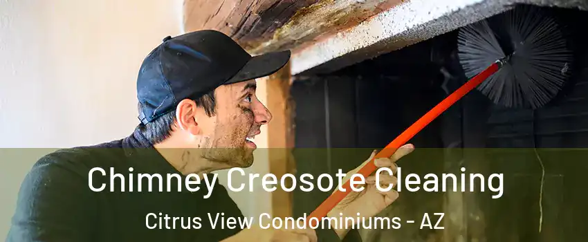 Chimney Creosote Cleaning Citrus View Condominiums - AZ