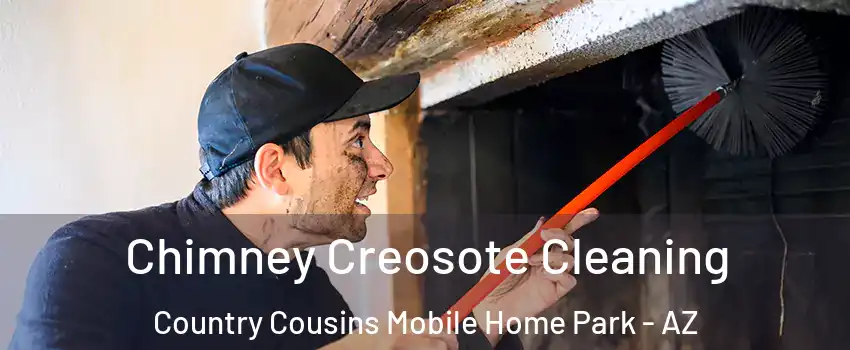 Chimney Creosote Cleaning Country Cousins Mobile Home Park - AZ