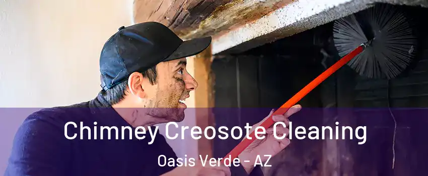 Chimney Creosote Cleaning Oasis Verde - AZ