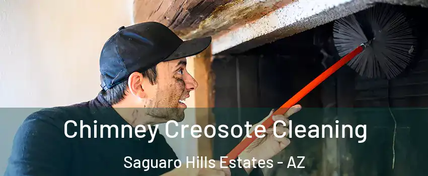 Chimney Creosote Cleaning Saguaro Hills Estates - AZ