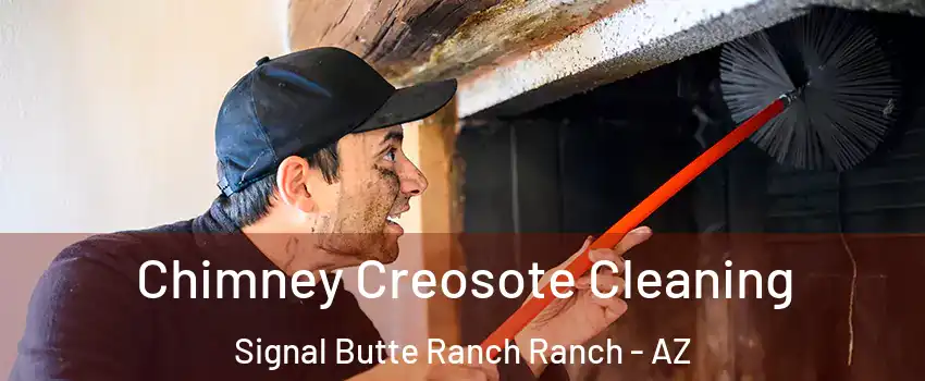 Chimney Creosote Cleaning Signal Butte Ranch Ranch - AZ