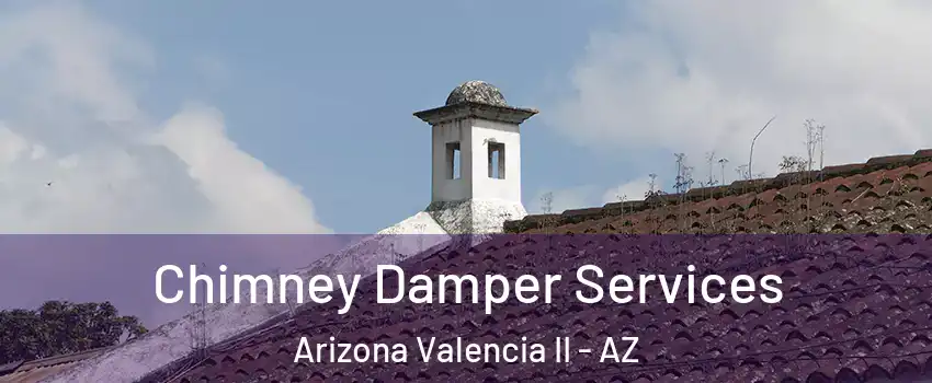 Chimney Damper Services Arizona Valencia II - AZ