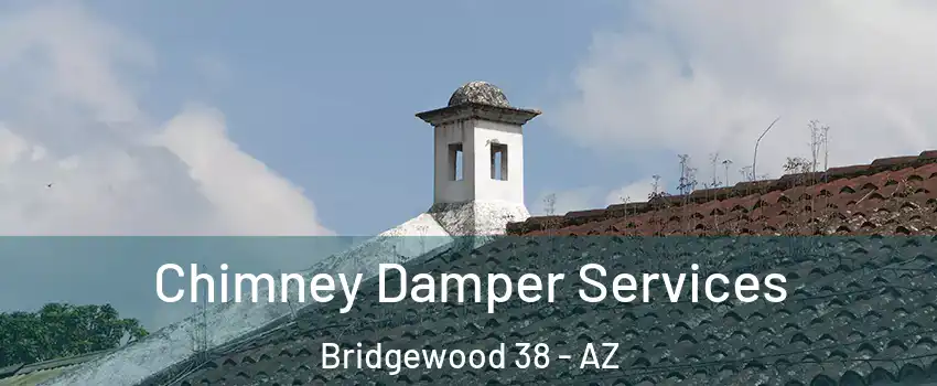 Chimney Damper Services Bridgewood 38 - AZ