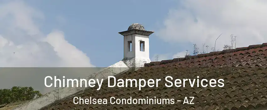 Chimney Damper Services Chelsea Condominiums - AZ