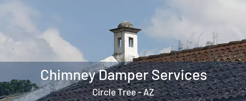 Chimney Damper Services Circle Tree - AZ