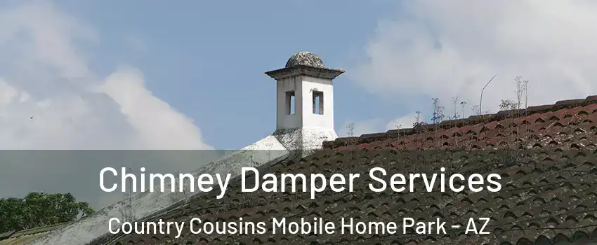 Chimney Damper Services Country Cousins Mobile Home Park - AZ