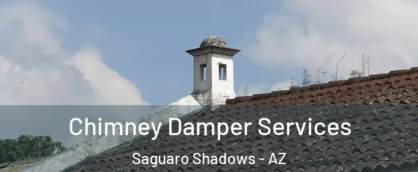 Chimney Damper Services Saguaro Shadows - AZ