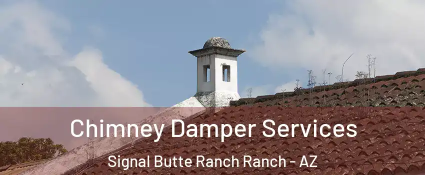 Chimney Damper Services Signal Butte Ranch Ranch - AZ