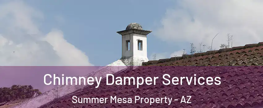 Chimney Damper Services Summer Mesa Property - AZ