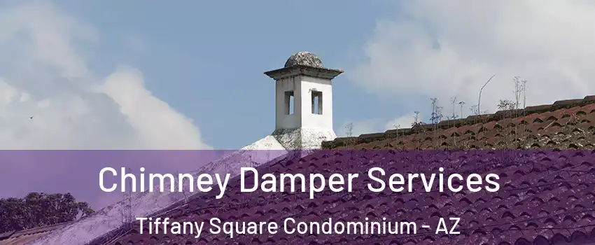 Chimney Damper Services Tiffany Square Condominium - AZ