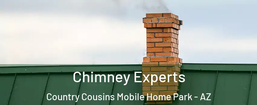 Chimney Experts Country Cousins Mobile Home Park - AZ