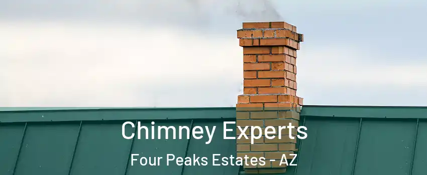 Chimney Experts Four Peaks Estates - AZ