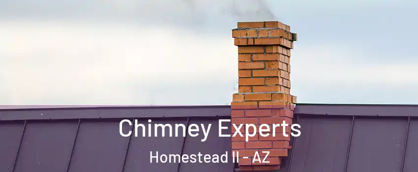 Chimney Experts Homestead II - AZ