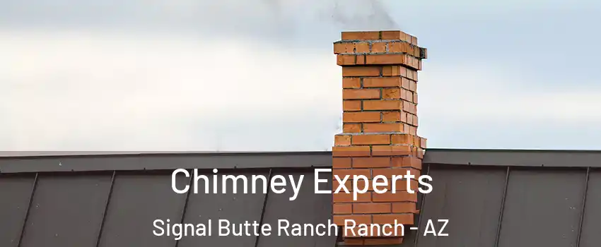 Chimney Experts Signal Butte Ranch Ranch - AZ