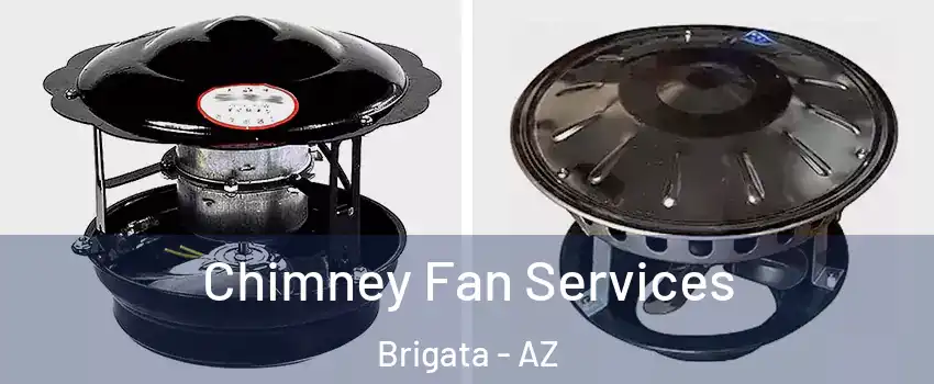 Chimney Fan Services Brigata - AZ