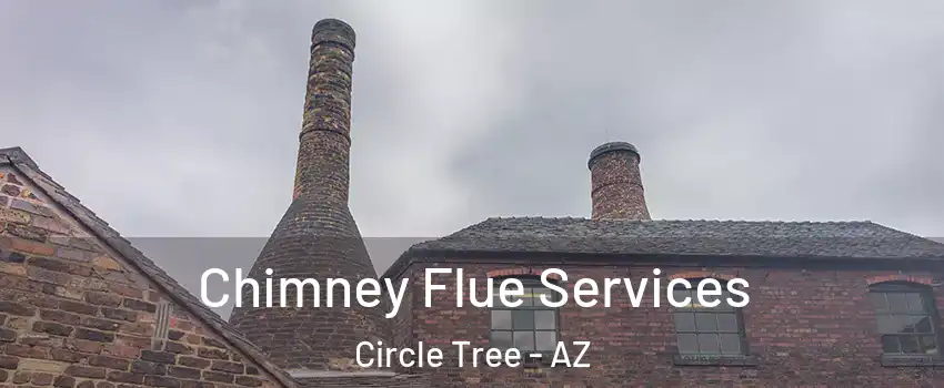 Chimney Flue Services Circle Tree - AZ