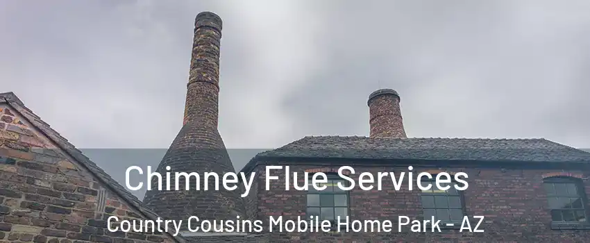 Chimney Flue Services Country Cousins Mobile Home Park - AZ