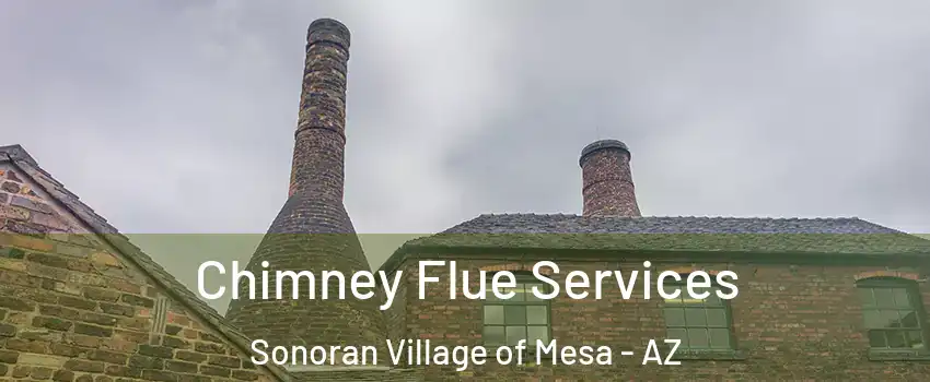 Chimney Flue Services Sonoran Village of Mesa - AZ