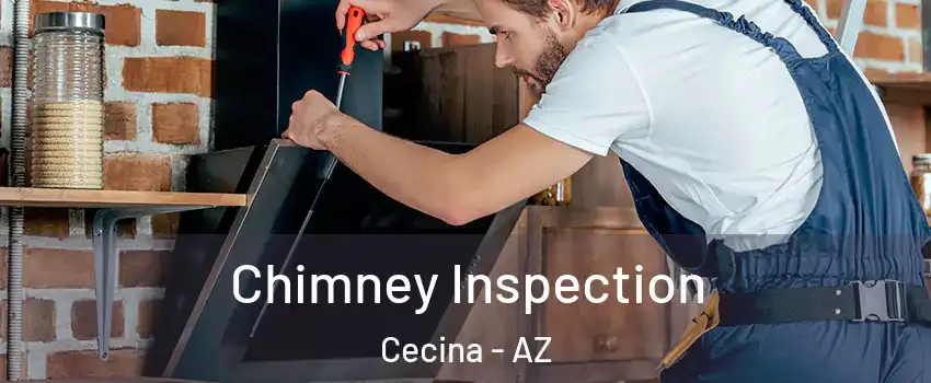 Chimney Inspection Cecina - AZ