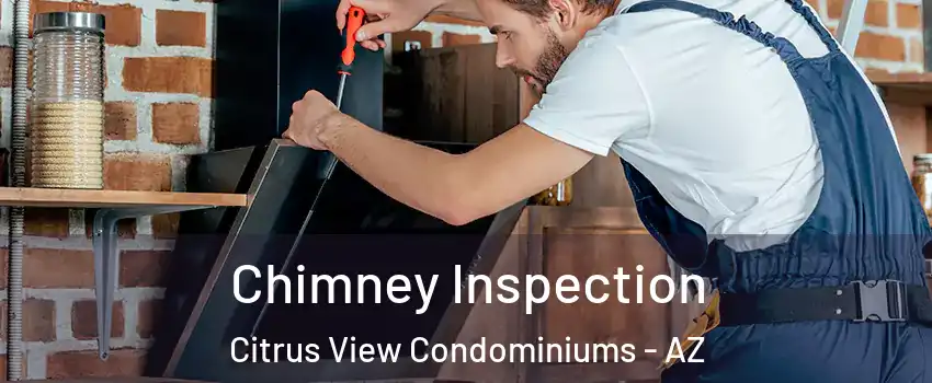 Chimney Inspection Citrus View Condominiums - AZ