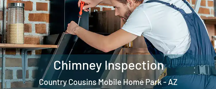 Chimney Inspection Country Cousins Mobile Home Park - AZ