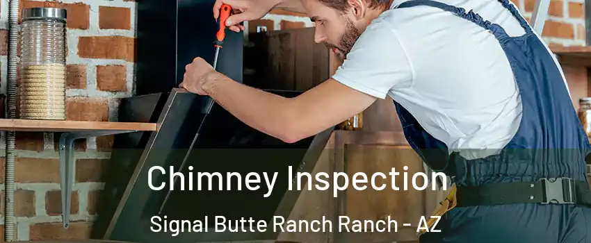 Chimney Inspection Signal Butte Ranch Ranch - AZ