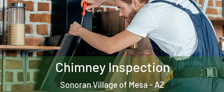 Chimney Inspection Sonoran Village of Mesa - AZ