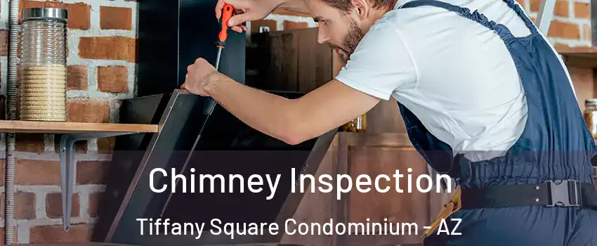 Chimney Inspection Tiffany Square Condominium - AZ