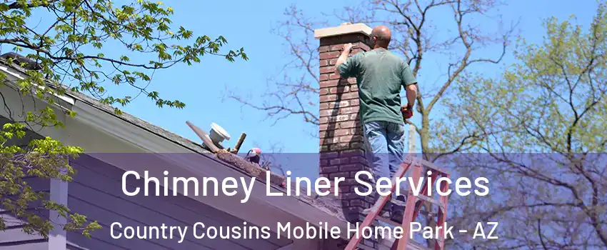 Chimney Liner Services Country Cousins Mobile Home Park - AZ