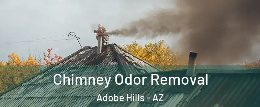 Chimney Odor Removal Adobe Hills - AZ