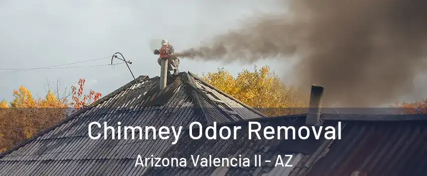 Chimney Odor Removal Arizona Valencia II - AZ