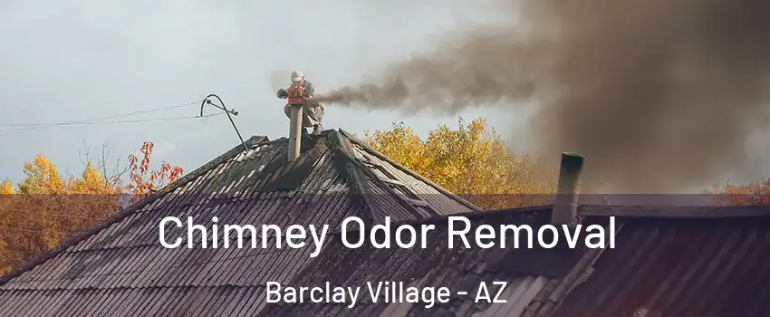 Chimney Odor Removal Barclay Village - AZ