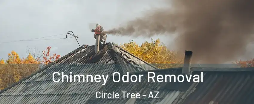 Chimney Odor Removal Circle Tree - AZ