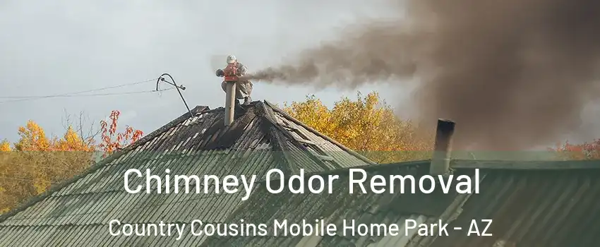 Chimney Odor Removal Country Cousins Mobile Home Park - AZ