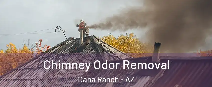 Chimney Odor Removal Dana Ranch - AZ